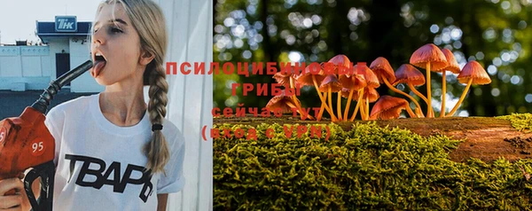 соль курить ск Абаза