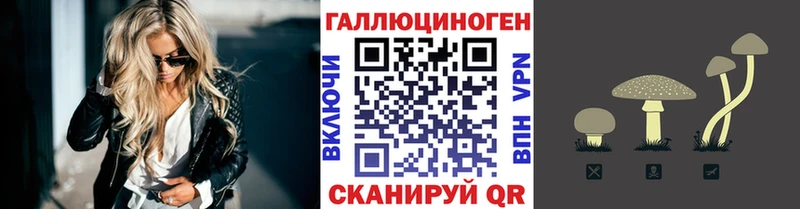 Псилоцибиновые грибы Cubensis  Лабинск 